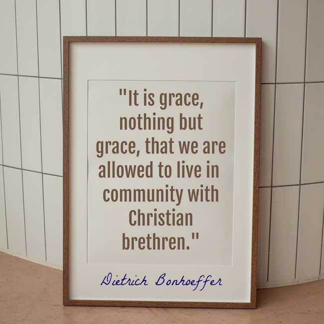 It is grace, nothing but grace, that we are allowed to live in community with Christian brethren. - Dietrich Bonhoeffer