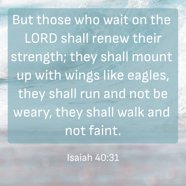But those who wait on the LORD shall renew their strength; they shall mount up with wings like eagles, they shall run and not be weary, they shall walk and not faint. - Isaiah 40:31