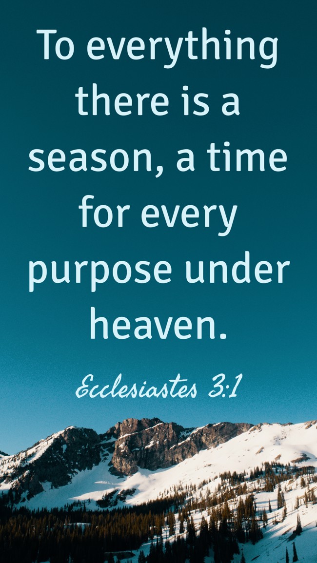 To everything there is a season, a time for every purpose under heaven. - Ecclesiastes 3:1
