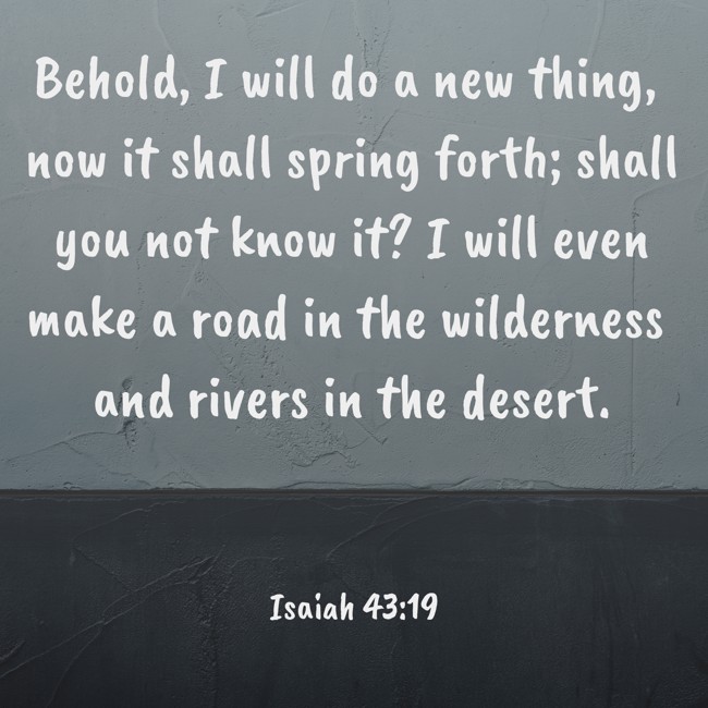 Behold, I will do a new thing, now it shall spring forth; shall you not know it? I will even make a road in the wilderness and rivers in the desert. - Isaiah 43:19