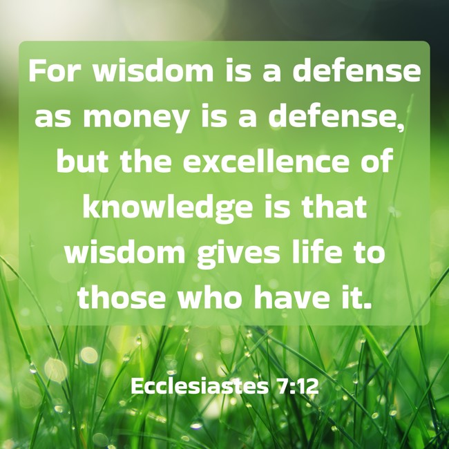 For wisdom is a defense as money is a defense, but the excellence of knowledge is that wisdom gives life to those who have it. - Ecclesiastes 7:12