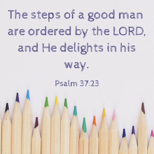The steps of a good man are ordered by the LORD, and He delights in his way. - Psalm 37:23