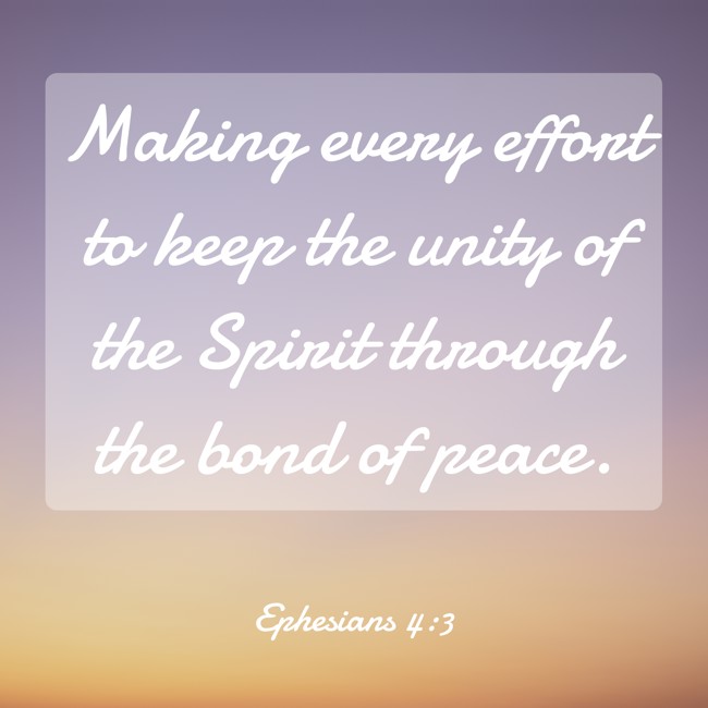 Making every effort to keep the unity of the Spirit through the bond of peace. - Ephesians 4:3