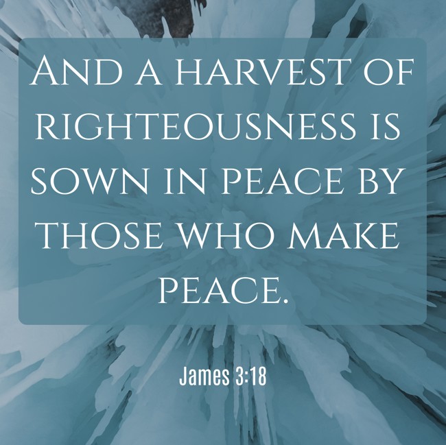 And a harvest of righteousness is sown in peace by those who make peace. - James 3:18