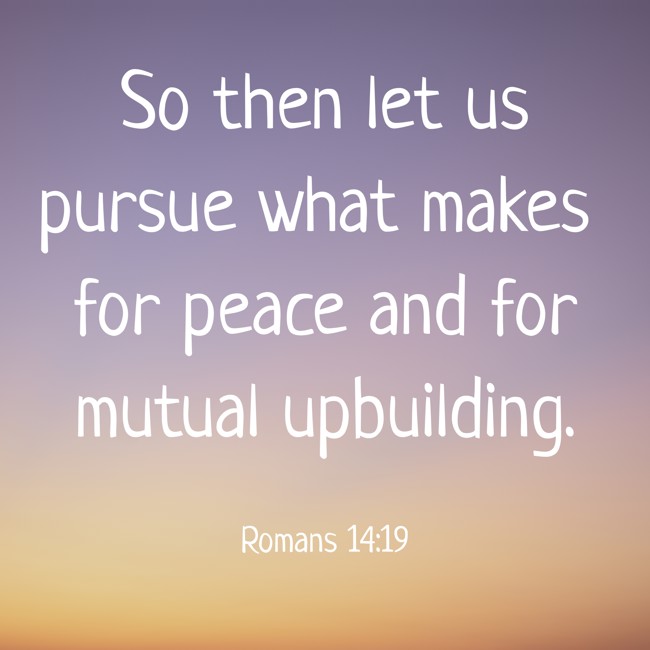 So then let us pursue what makes for peace and for mutual upbuilding. - Romans 14:19