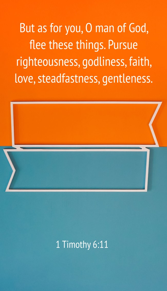 But as for you, O man of God, flee these things. Pursue righteousness, godliness, faith, love, steadfastness, gentleness. - 1 Timothy 6:11