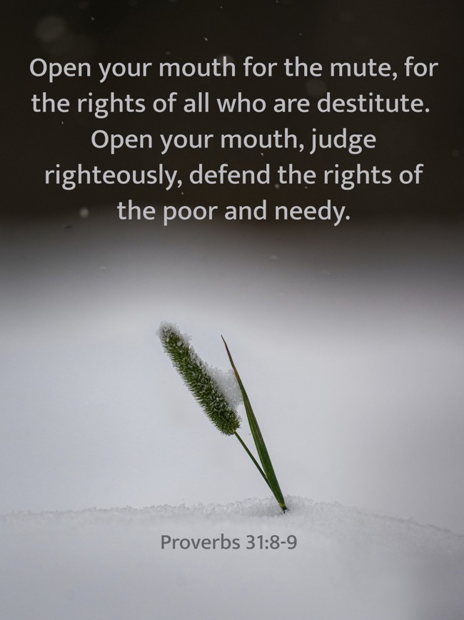  Open your mouth for the mute, for the rights of all who are destitute. Open your mouth, judge righteously, defend the rights of the poor and needy.   - Proverbs 31:8-9 