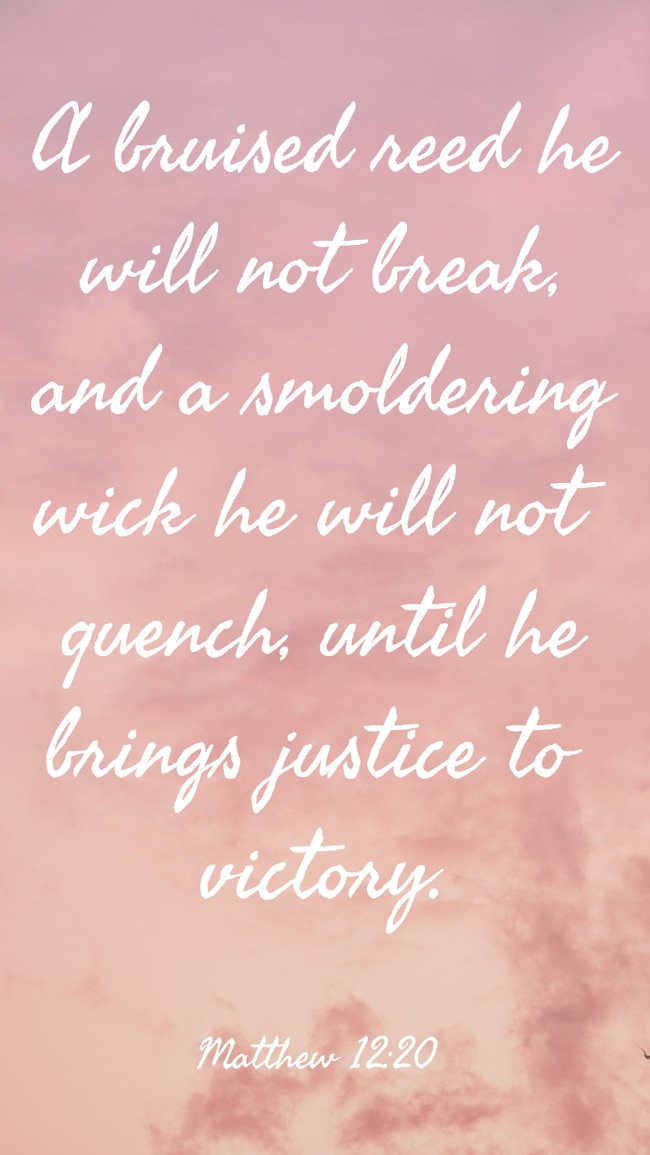  A bruised reed he will not break, and a smoldering wick he will not quench, until he brings justice to victory.   - Matthew 12:20 