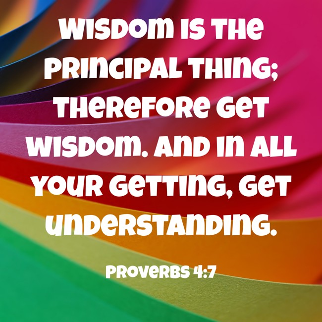 Wisdom is the principal thing; therefore get wisdom. And in all your getting, get understanding. - Proverbs 4:7