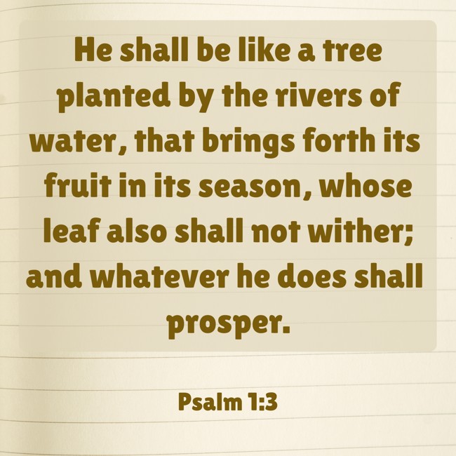 He shall be like a tree planted by the rivers of water, that brings forth its fruit in its season, whose leaf also shall not wither; and whatever he does shall prosper. - Psalm 1:3