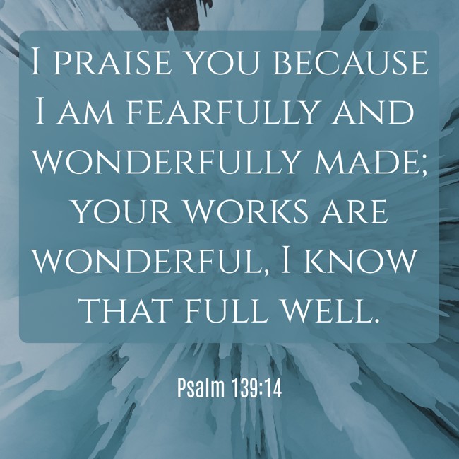 I praise you because I am fearfully and wonderfully made; your works are wonderful, I know that full well. - Psalm 139:14