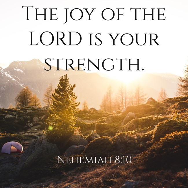  The joy of the LORD is your strength.   - Nehemiah 8:10 