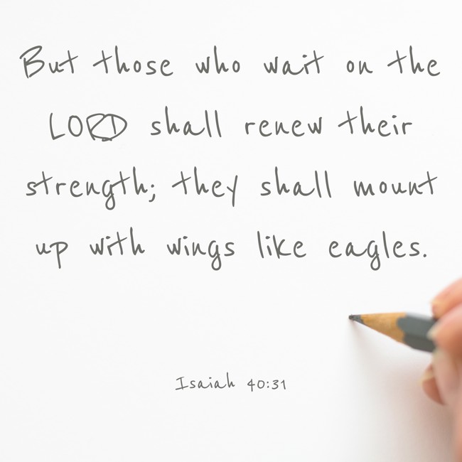  But those who wait on the LORD shall renew their strength; they shall mount up with wings like eagles.   - Isaiah 40:31 