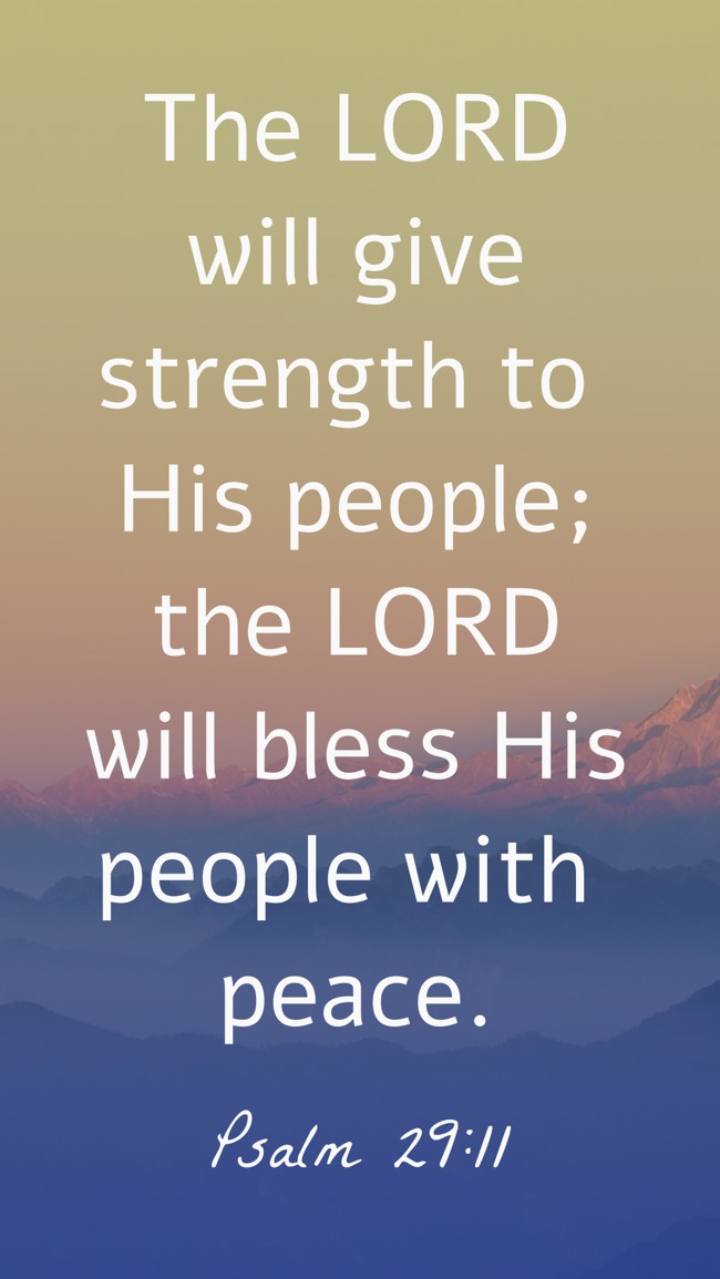  The LORD will give strength to His people; the LORD will bless His people with peace.   - Psalm 29:11 