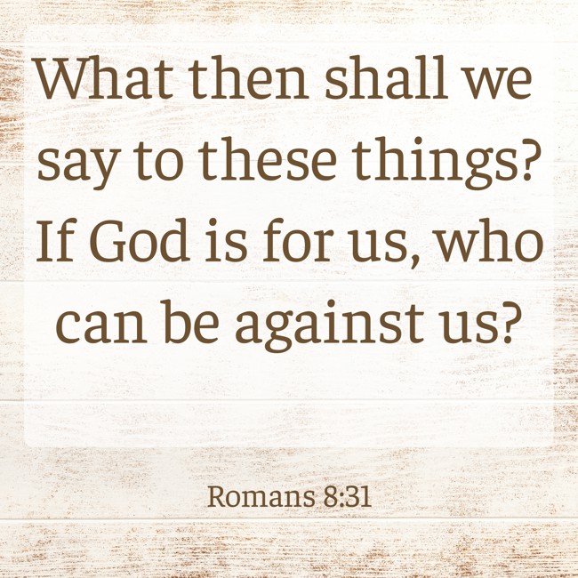  What then shall we say to these things? If God is for us, who can be against us?   - Romans 8:31 