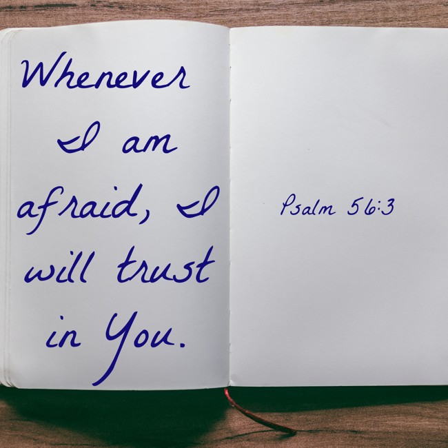  Whenever I am afraid, I will trust in You.   - Psalm 56:3 
