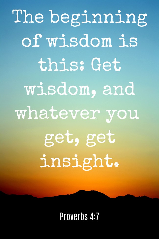 The beginning of wisdom is this: Get wisdom, and whatever you get, get insight. - Proverbs 4:7