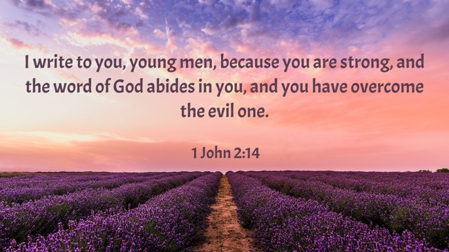 I write to you, young men, because you are strong, and the word of God abides in you, and you have overcome the evil one. - 1 John 2:14