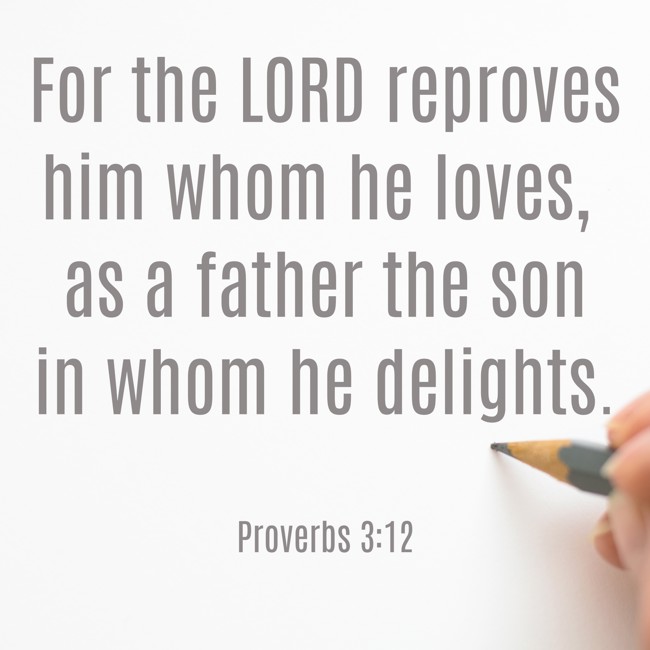 For the LORD reproves him whom he loves, as a father the son in whom he delights. - Proverbs 3:12