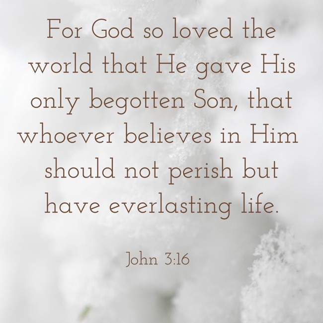 For God so loved the world that He gave His only begotten Son, that whoever believes in Him should not perish but have everlasting life. - John 3:16