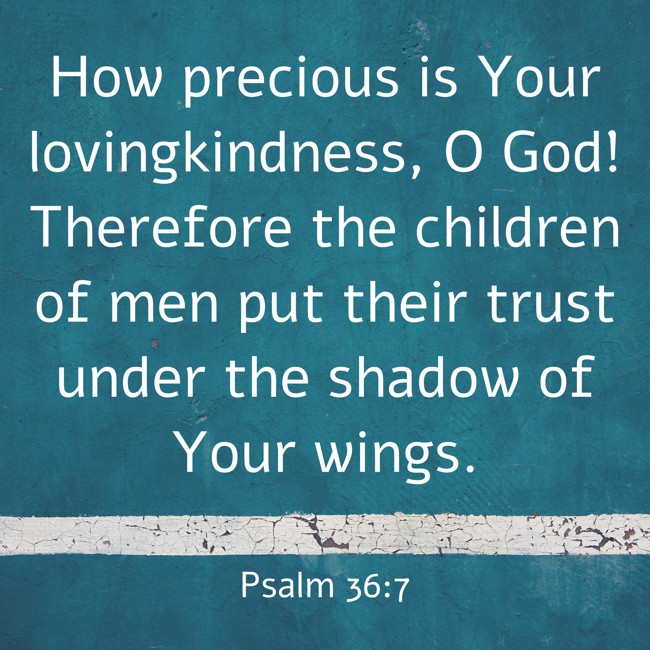 How precious is Your lovingkindness, O God! Therefore the children of men put their trust under the shadow of Your wings. - Psalm 36:7