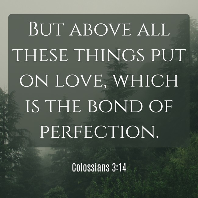 But above all these things put on love, which is the bond of perfection. - Colossians 3:14