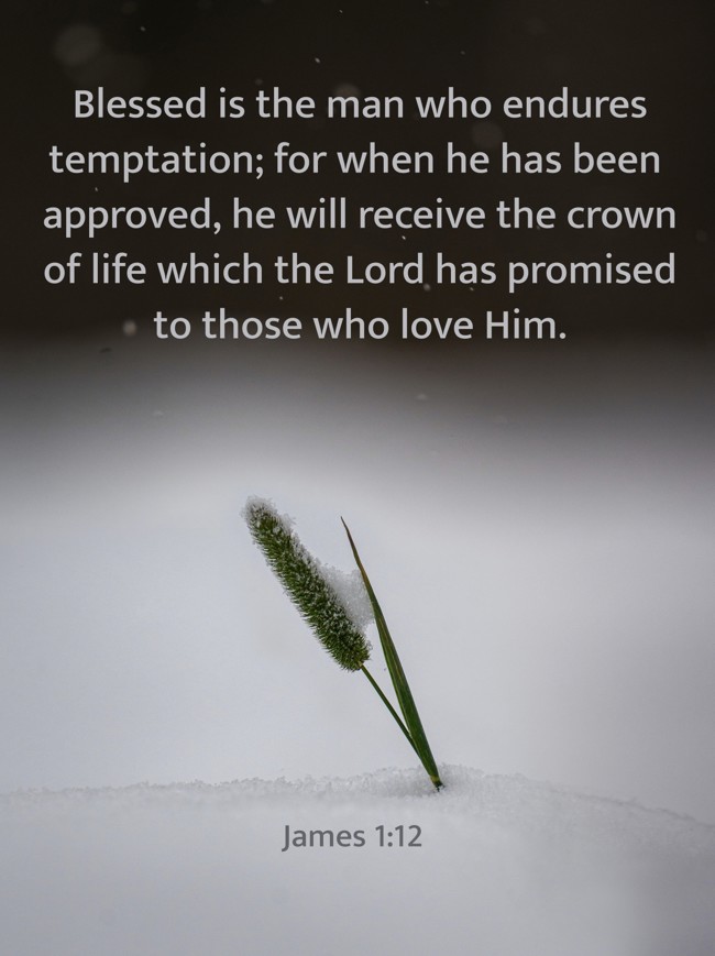 Blessed is the man who endures temptation; for when he has been approved, he will receive the crown of life which the Lord has promised to those who love Him. - James 1:12