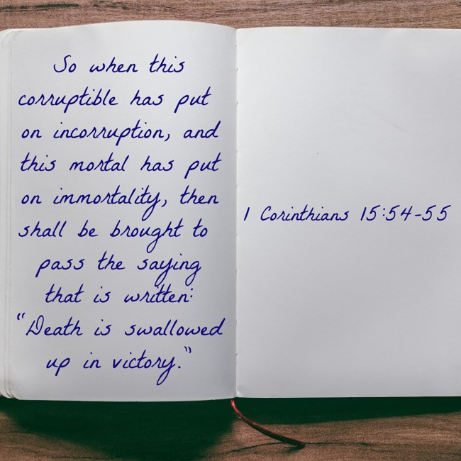 So when this corruptible has put on incorruption, and this mortal has put on immortality, then shall be brought to pass the saying that is written: “Death is swallowed up in victory.” - 1 Corinthians 15:54-55