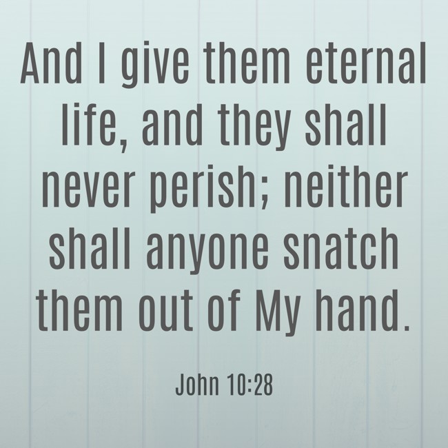 And I give them eternal life, and they shall never perish; neither shall anyone snatch them out of My hand. - John 10:28