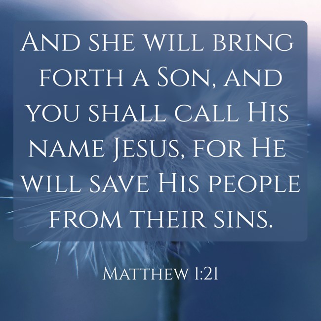  And she will bring forth a Son, and you shall call His name Jesus, for He will save His people from their sins.   - Matthew 1:21 