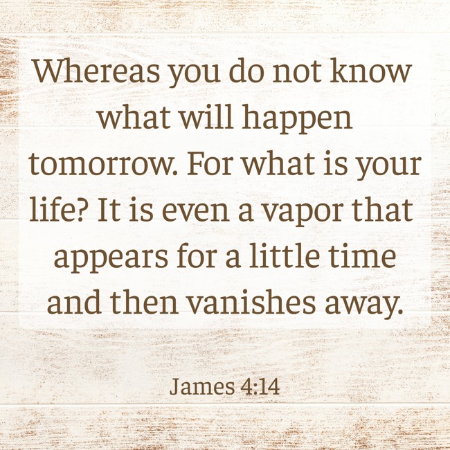 Whereas you do not know what will happen tomorrow. For what is your life? It is even a vapor that appears for a little time and then vanishes away. - James 4:14