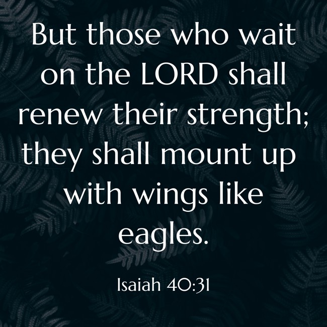 But those who wait on the LORD shall renew their strength; they shall mount up with wings like eagles. - Isaiah 40:31