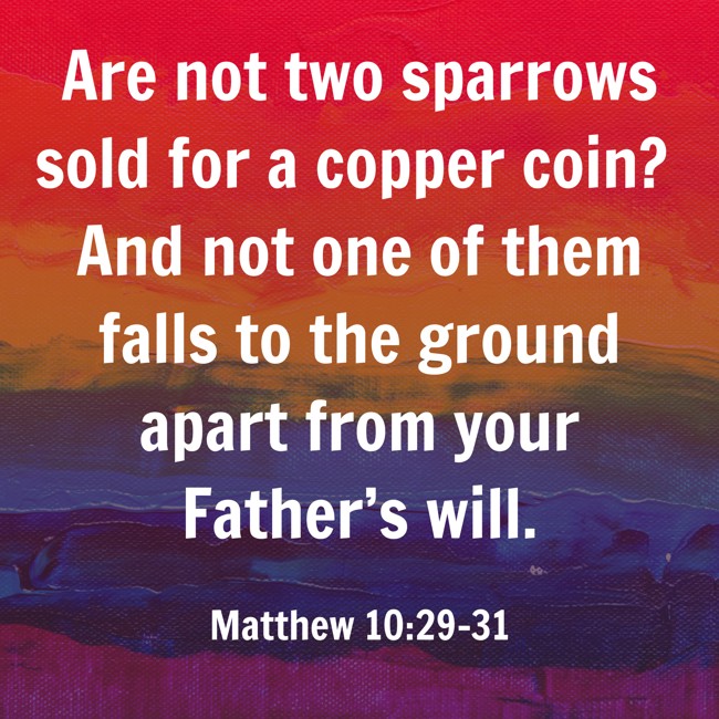 Are not two sparrows sold for a copper coin? And not one of them falls to the ground apart from your Father’s will. - Matthew 10:29-31