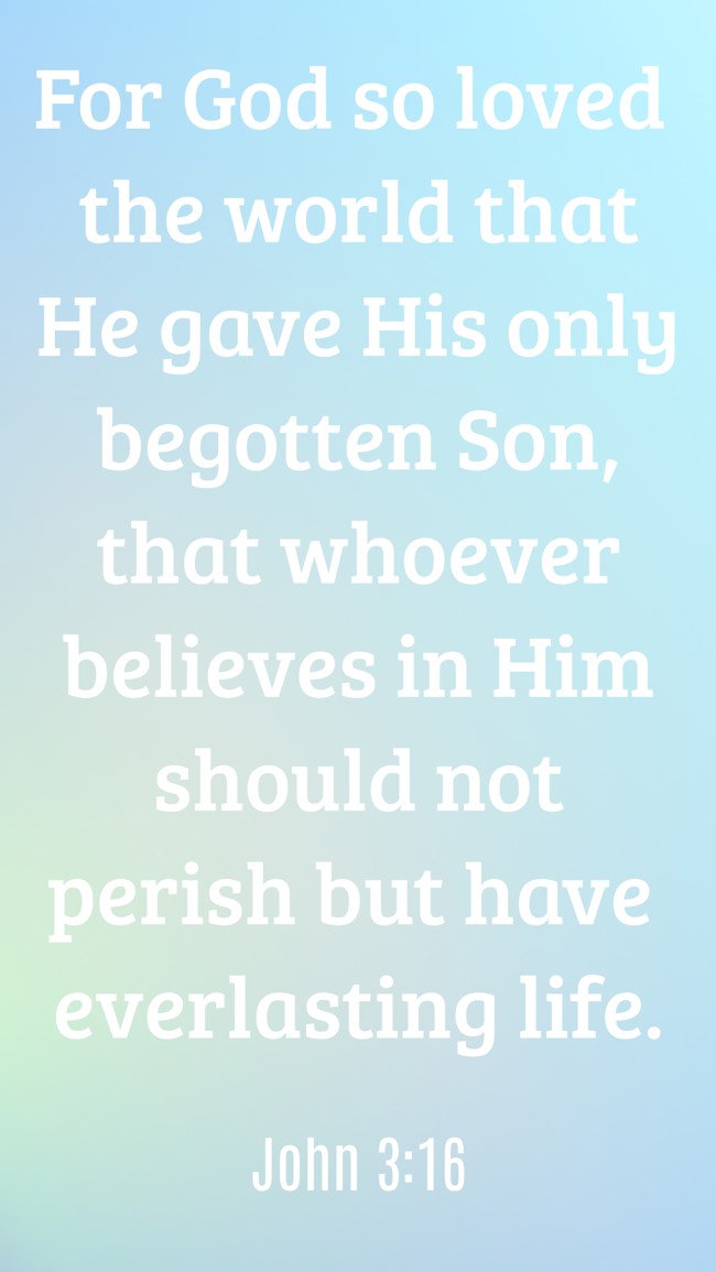  For God so loved the world that He gave His only begotten Son, that whoever believes in Him should not perish but have everlasting life.   - John 3:16 