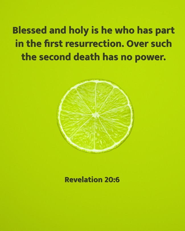Blessed and holy is he who has part in the first resurrection. Over such the second death has no power. - Revelation 20:6