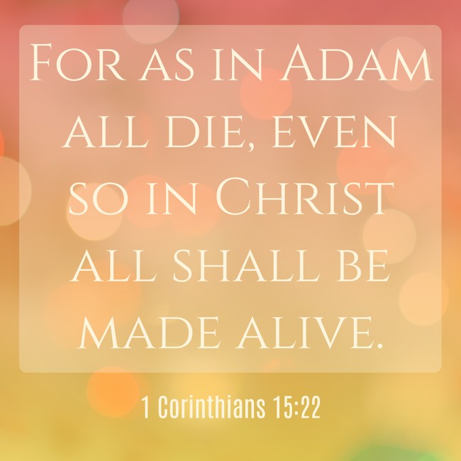 For as in Adam all die, even so in Christ all shall be made alive. - 1 Corinthians 15:22