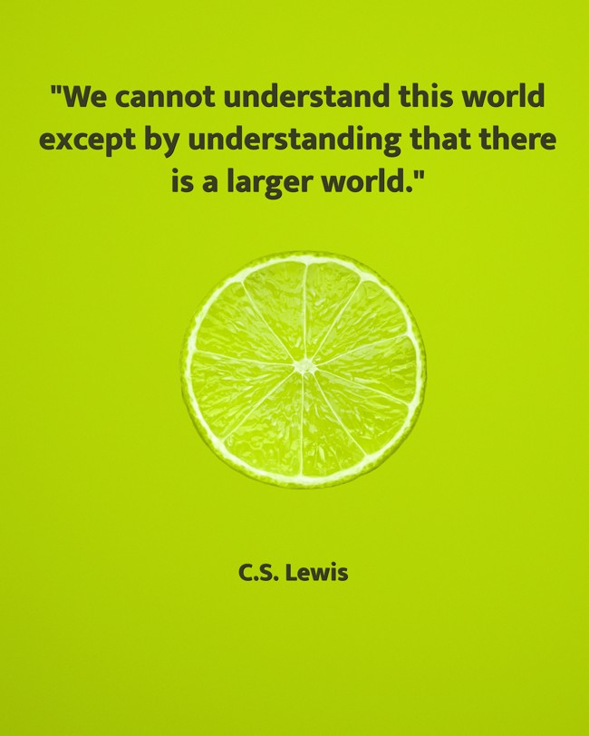 We cannot understand this world except by understanding that there is a larger world. - C.S. Lewis