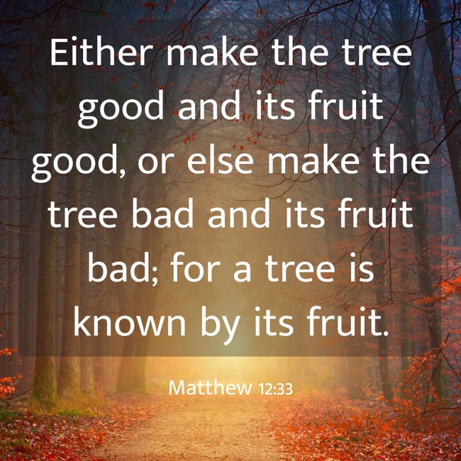  Either make the tree good and its fruit good, or else make the tree bad and its fruit bad; for a tree is known by its fruit.   - Matthew 12:33 