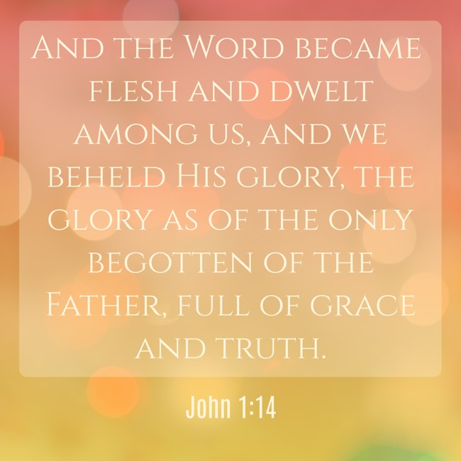  And the Word became flesh and dwelt among us, and we beheld His glory, the glory as of the only begotten of the Father, full of grace and truth.   - John 1:14 