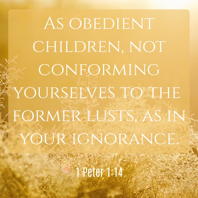 As obedient children, not conforming yourselves to the former lusts, as in your ignorance. - 1 Peter 1:14
