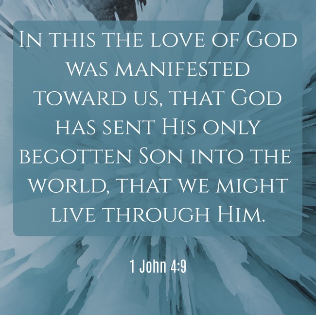  In this the love of God was manifested toward us, that God has sent His only begotten Son into the world, that we might live through Him.   - 1 John 4:9 