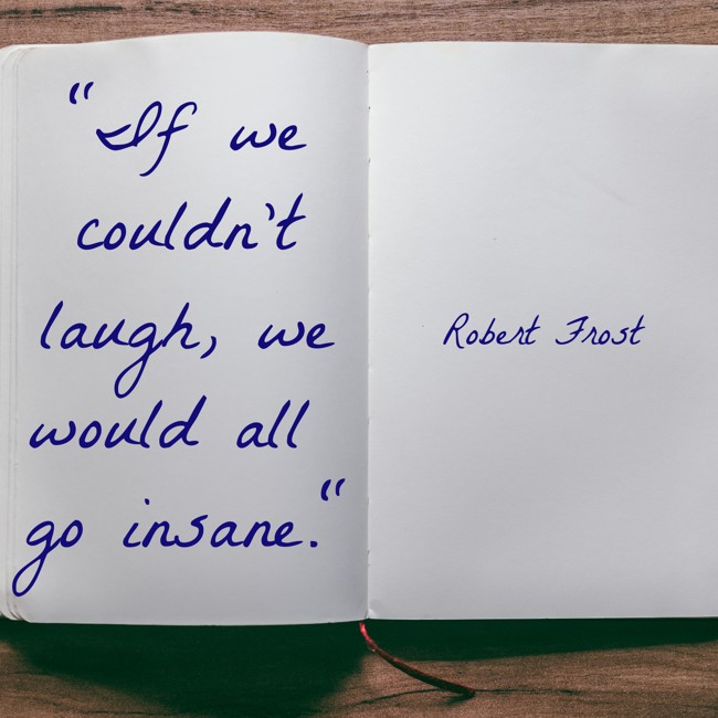  If we couldn't laugh, we would all go insane.   - Robert Frost 