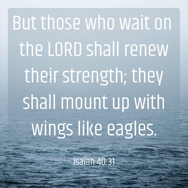But those who wait on the LORD shall renew their strength; they shall mount up with wings like eagles. - Isaiah 40:31