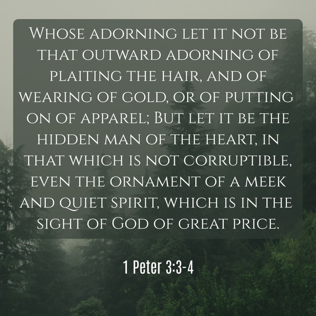 Whose adorning let it not be that outward adorning of plaiting the hair, and of wearing of gold, or of putting on of apparel; But let it be the hidden man of the heart, in that which is not corruptible, even the ornament of a meek and quiet spirit, which is in the sight of God of great price. - 1 Peter 3:3-4