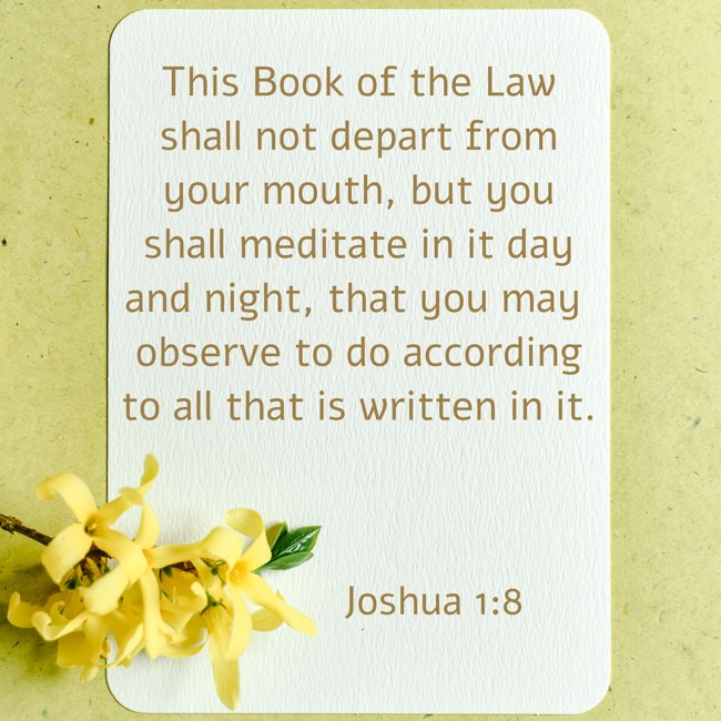 This Book of the Law shall not depart from your mouth, but you shall meditate in it day and night, that you may observe to do according to all that is written in it. - Joshua 1:8
