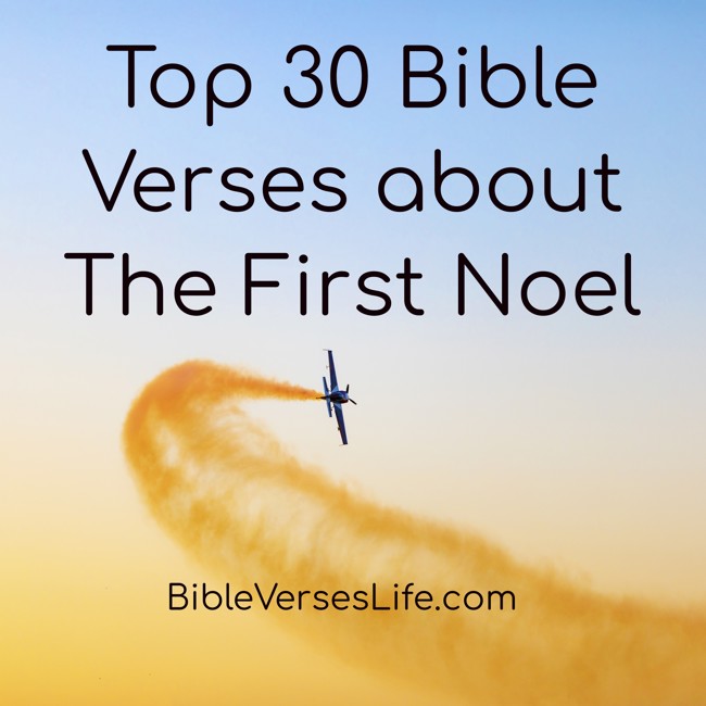 Top 30 Bible Verses about The First Noel