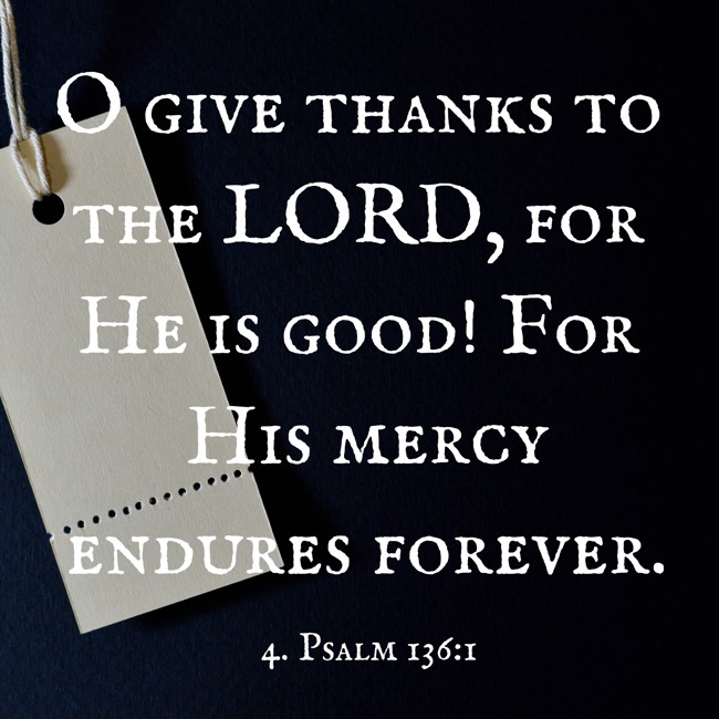 O give thanks to the LORD, for He is good! For His mercy endures forever. - 4. Psalm 136:1