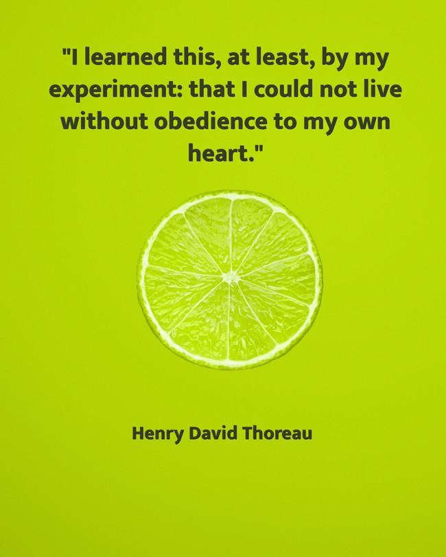 I learned this, at least, by my experiment: that I could not live without obedience to my own heart. - Henry David Thoreau