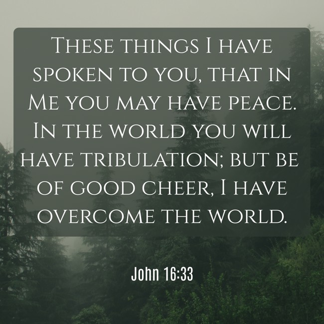 These things I have spoken to you, that in Me you may have peace. In the world you will have tribulation; but be of good cheer, I have overcome the world. - John 16:33