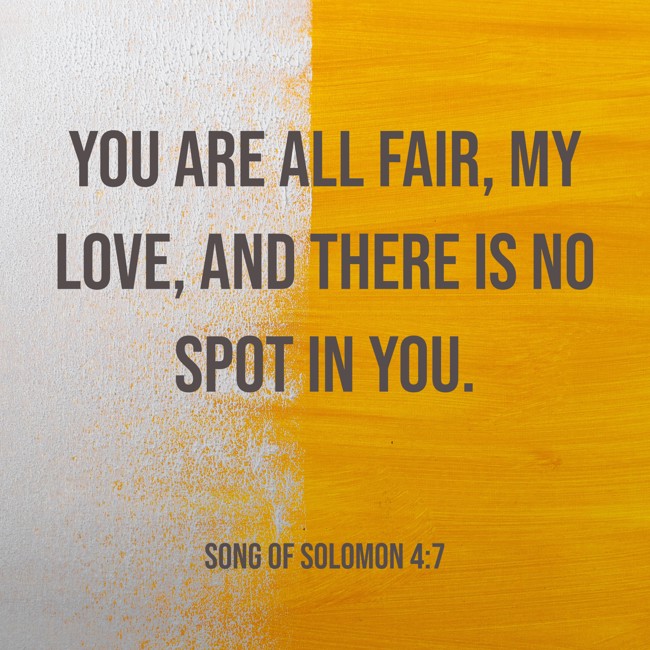 You are all fair, my love, and there is no spot in you. - Song of Solomon 4:7
